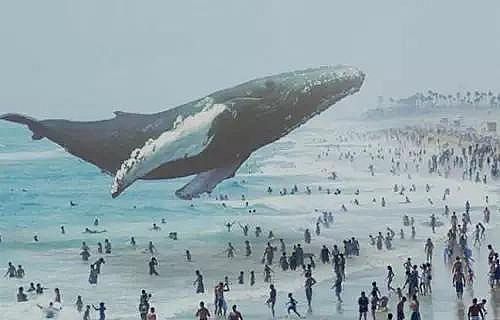 ����,����,3DȫϢӰ��,Magic Leap,�ȸ�,΢������ͼƬ