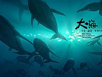 һ������к��ġ������㡤���ġ�ͬ�˶�����Ƭ����