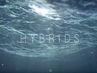 Hybrids���񽱻�������CG��ά����3D��Ƶ��Ƭ����